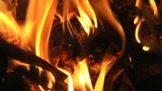 Thumbnail Fire 36 Thumbnail Fire 36