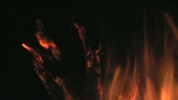 Thumbnail Fire 40 Thumbnail Fire 40