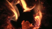 Thumbnail Fire 48 Thumbnail Fire 48