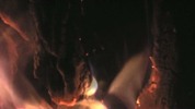 Thumbnail Fire 71 Thumbnail Fire 71