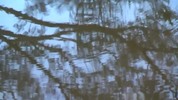Thumbnail Water 126