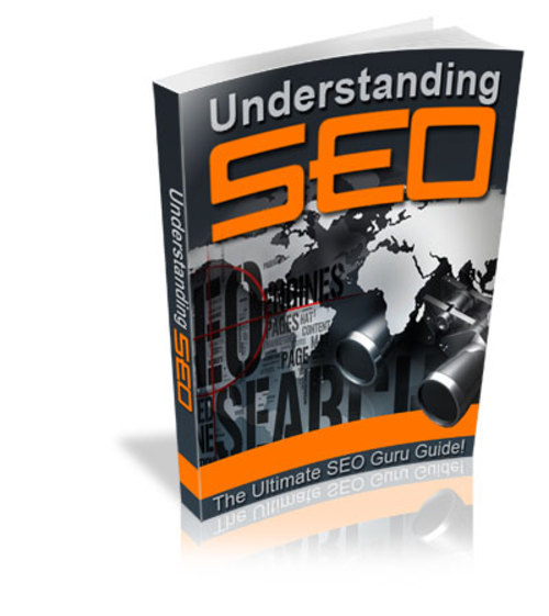 Product picture Understanding_SEO with Master Resell Rights