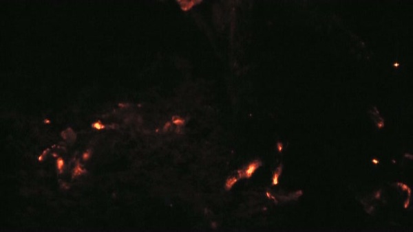 Product picture Fire 4