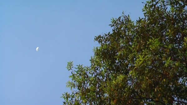 Product picture Night 2