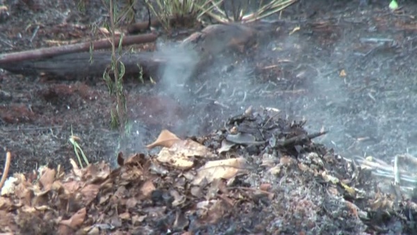 Product picture Smoke 1