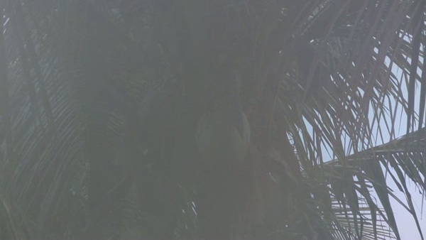 Product picture Smoke 2