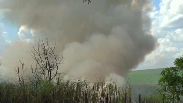 Product picture Smoke 10