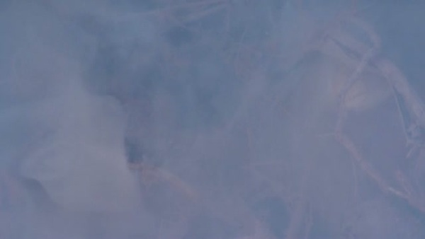 Product picture Smoke 11