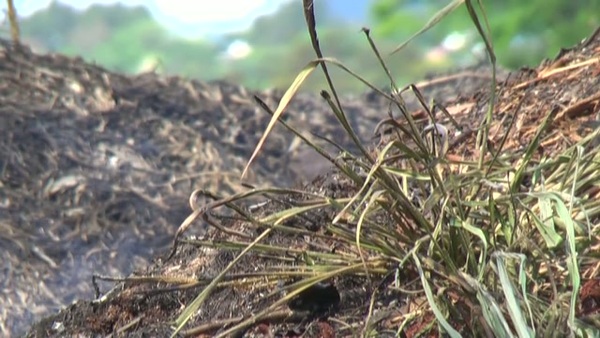 Product picture Smoke 14