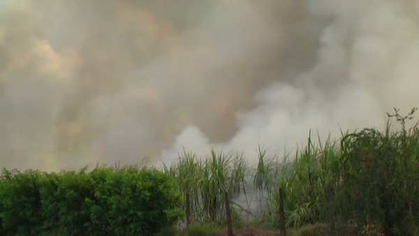 Product picture Smoke 15