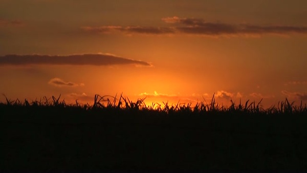 Product picture Sunset 2