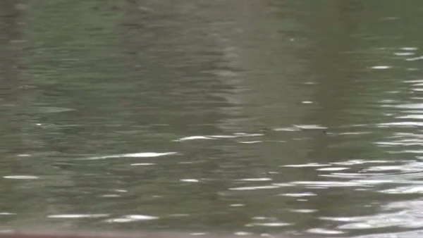 Product picture Water 4