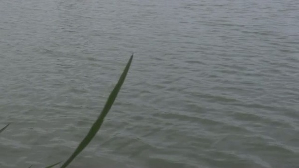 Product picture Water 5