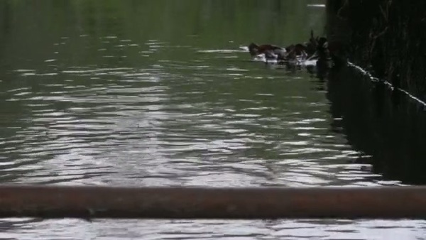 Product picture Water 7