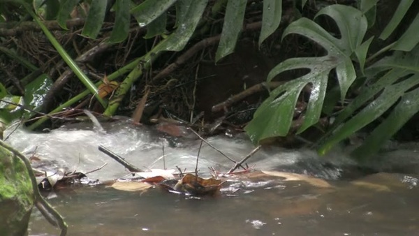 Product picture Water 12