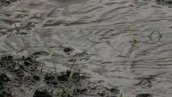 Product picture Water 13