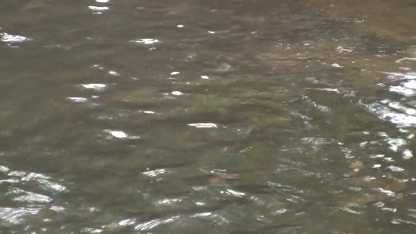 Product picture Water 21