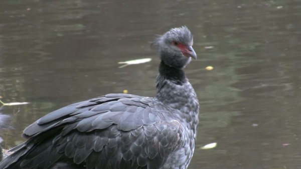 Product picture Water 23