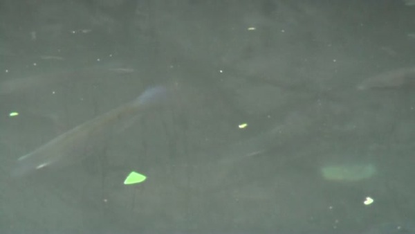 Product picture Water 28