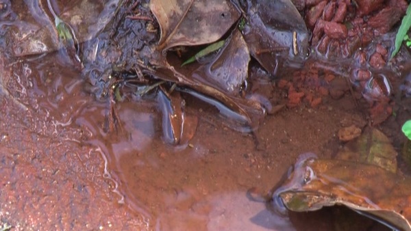 Product picture Water 30