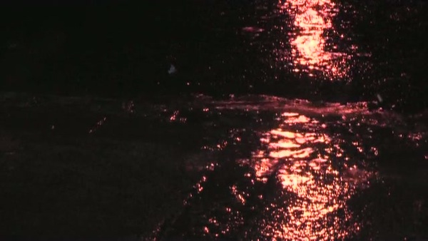 Product picture Nature 31