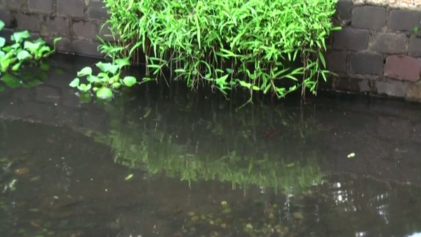 Product picture Water 32