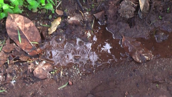 Product picture Water 33