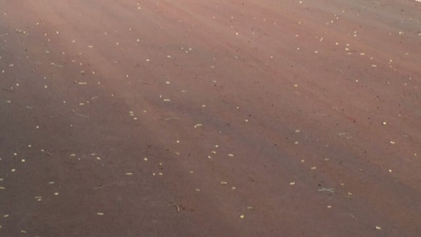 Product picture Water 34