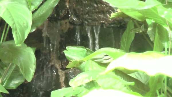 Product picture Water 35