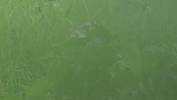 Product picture Water 37