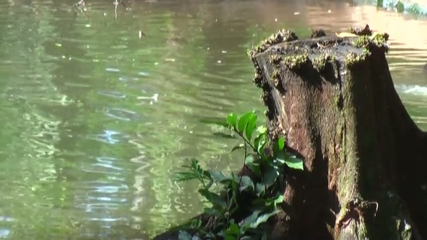 Product picture Water 40