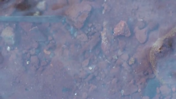 Product picture Water 43