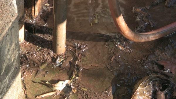 Product picture Water 45