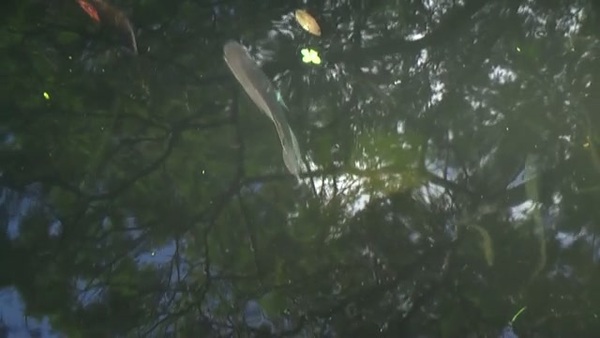 Product picture Water 47