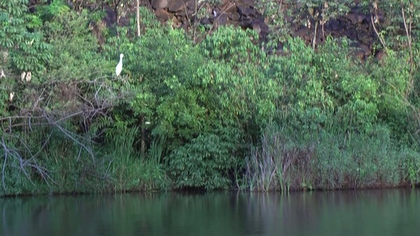 Product picture Water 49