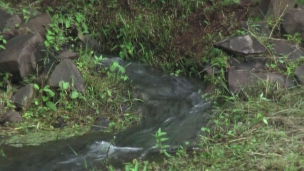 Product picture Water 54