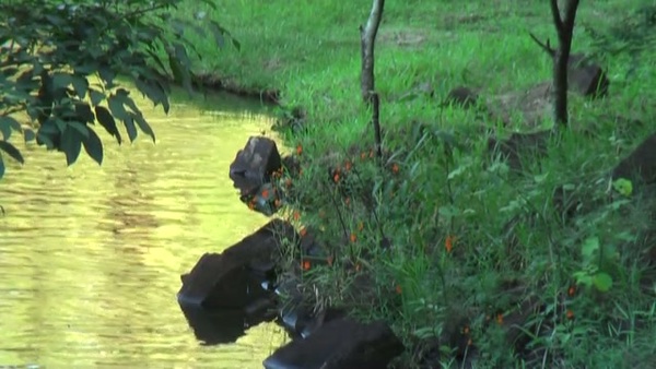 Product picture Water 68