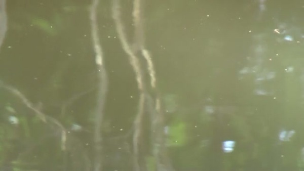 Product picture Water 74