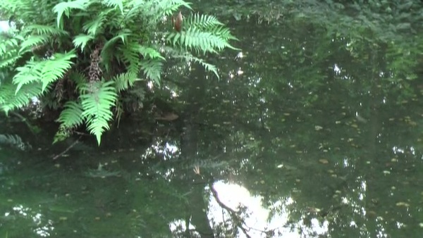 Product picture Water 75