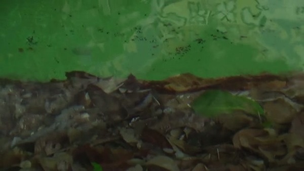 Product picture Water 76