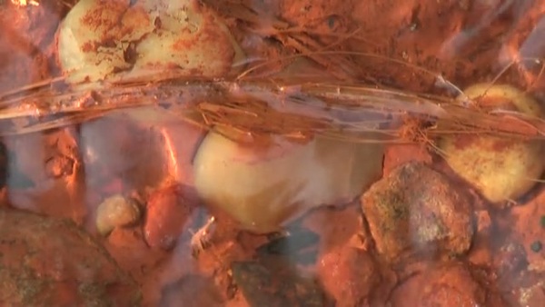 Product picture Water 78