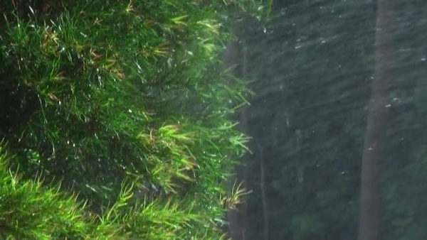 Product picture Water 85