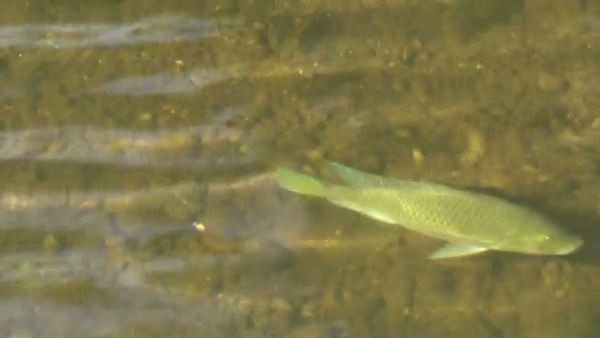 Product picture Water 87