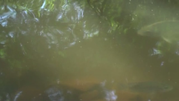 Product picture Water 89