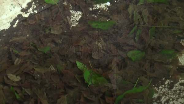 Product picture Water 90