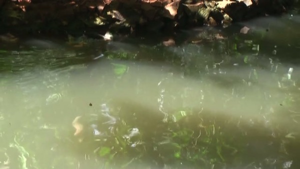 Product picture Water 91