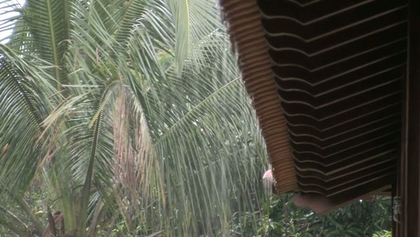 Product picture Water 95