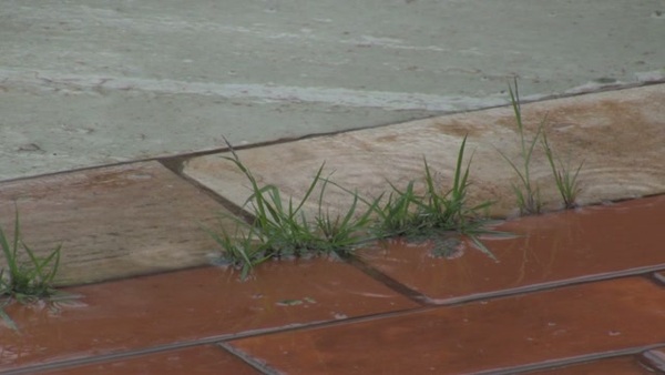 Product picture Water 96