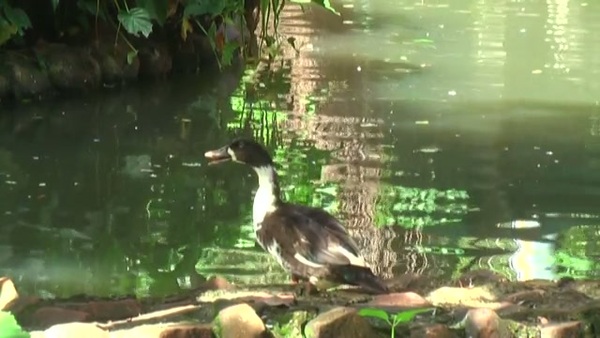 Product picture Water 106