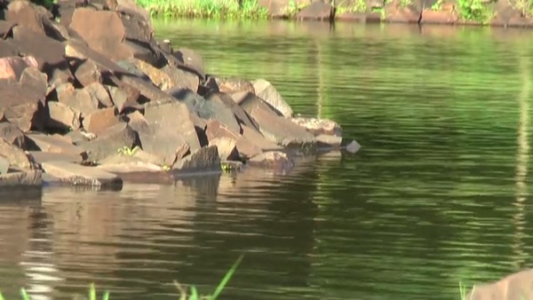 Product picture Water 107